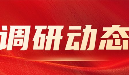集团公司纪委委员、总管帐师袁媛赴DG视讯公司发展资产治理专项调研